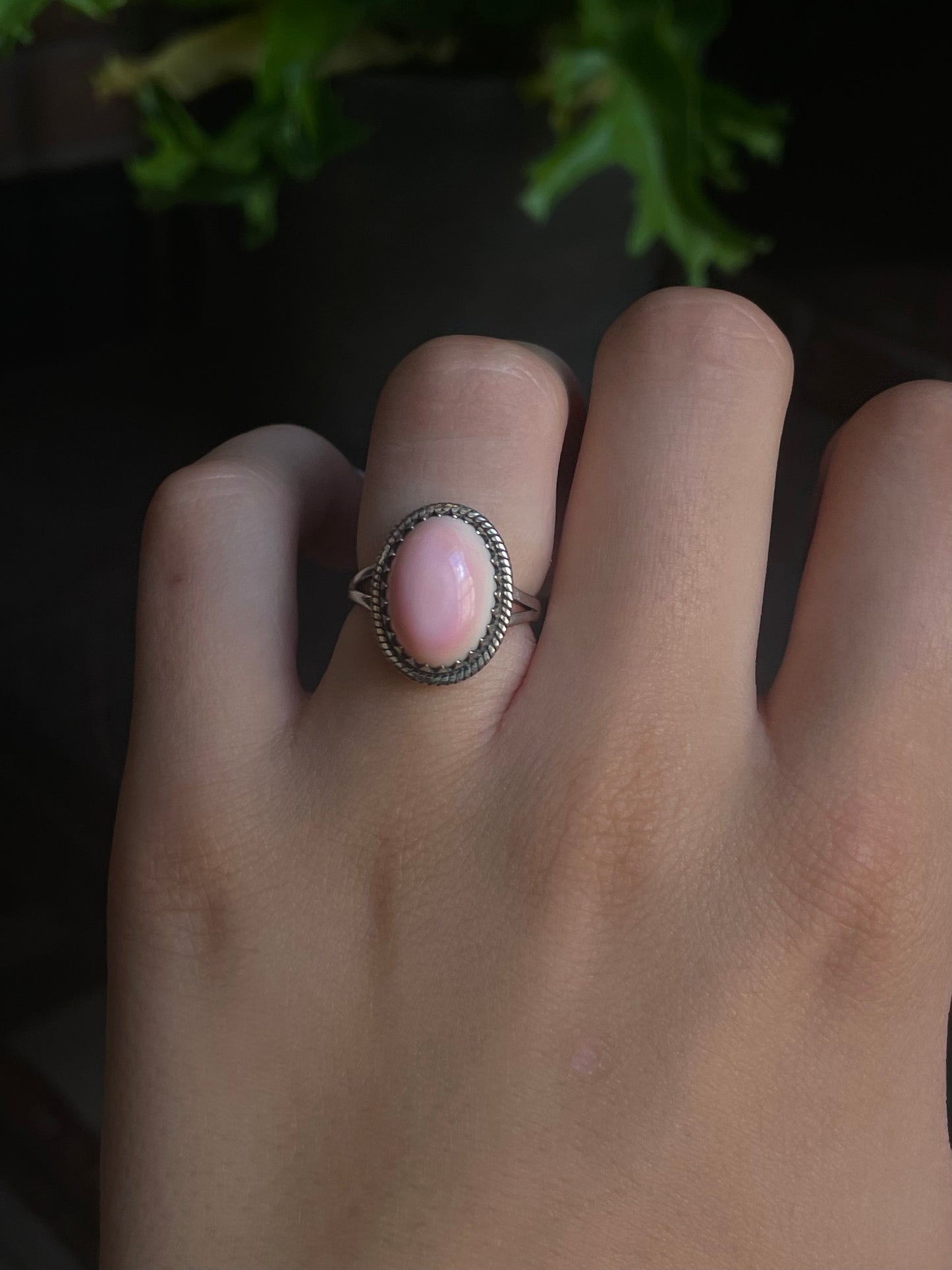 Pink Conch Ring Size 6 | 925 Sterling Silver G522