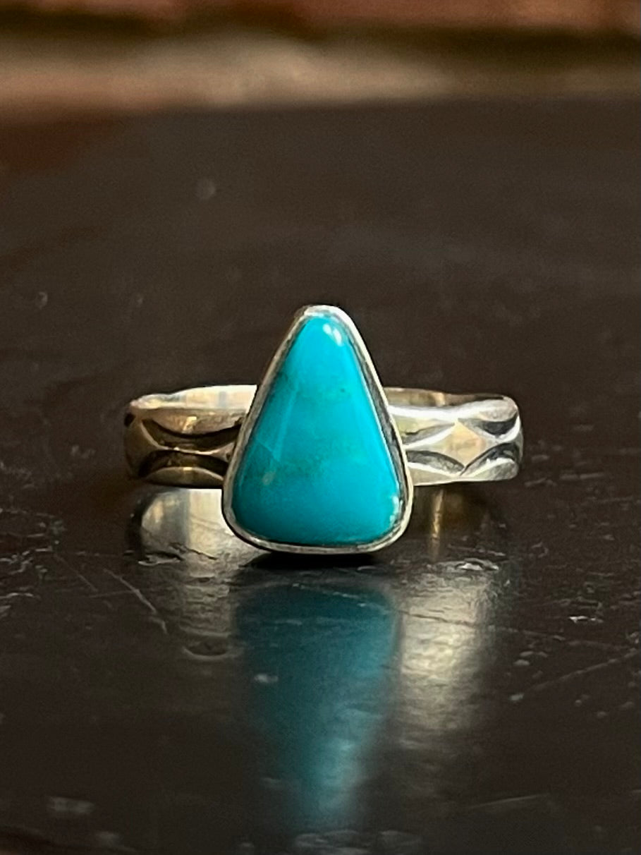 Kingman Turquoise Ring Size 8.5 | 925 Sterling Silver E741