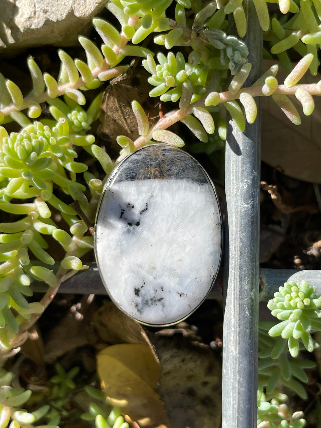 White Buffalo Ring Size 8.25 | 925 Sterling Silver B674