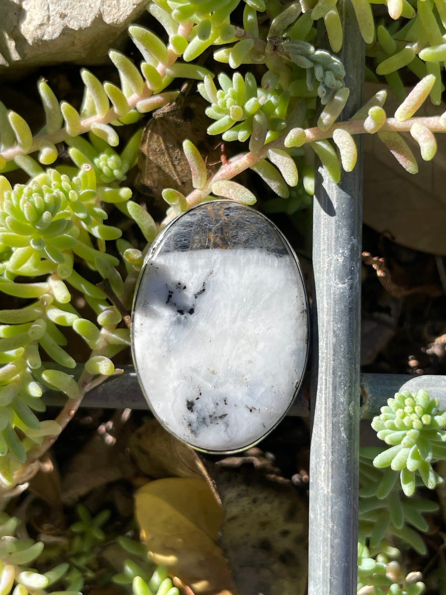 White Buffalo Ring Size 8.25 | 925 Sterling Silver B674