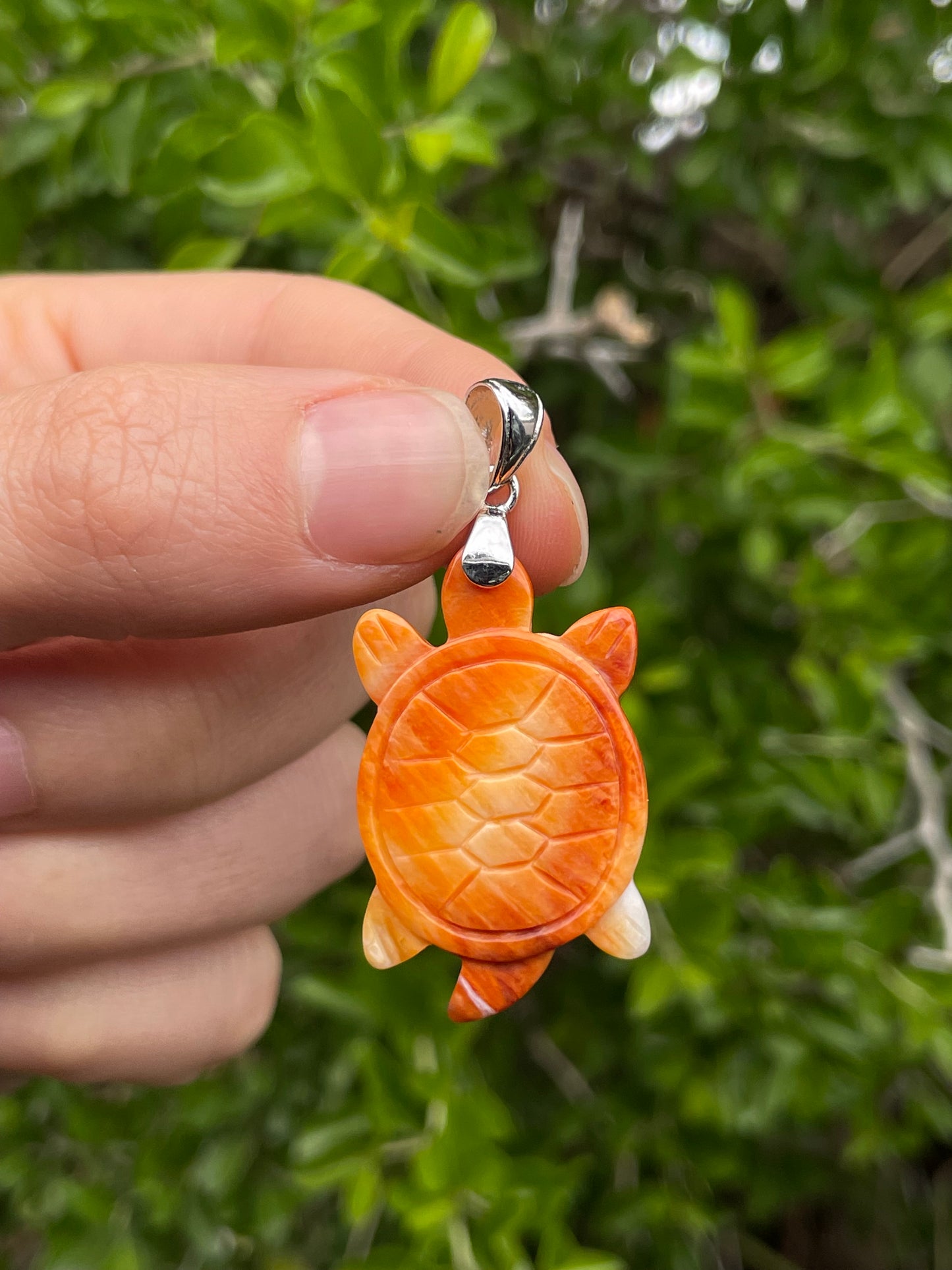 Spiny Oyster Turtle Pendant | 925 Sterling Silver B618