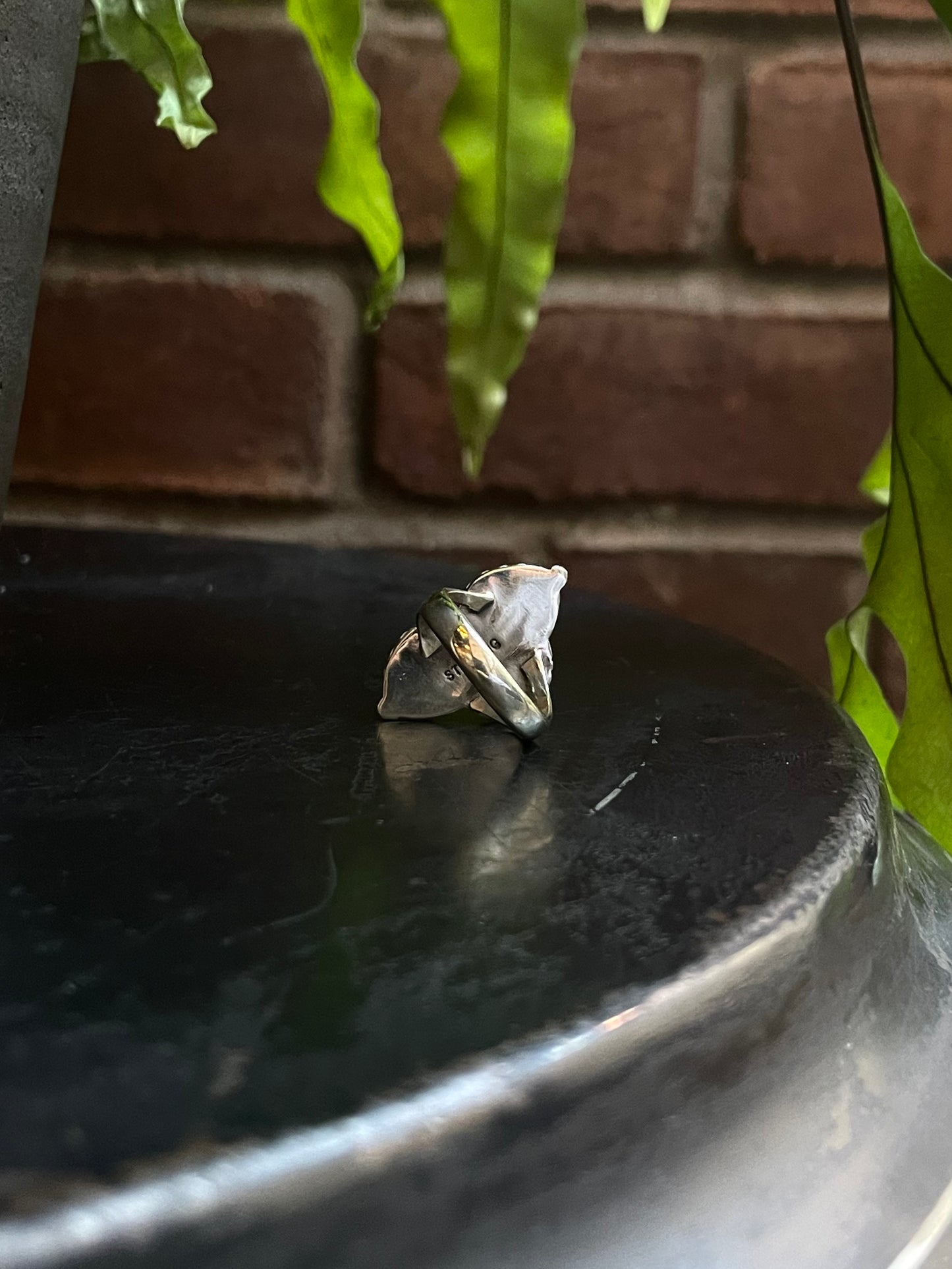 Spiny Oyster Feather Ring | Sterling Silver 925 | Size 5.75 C721