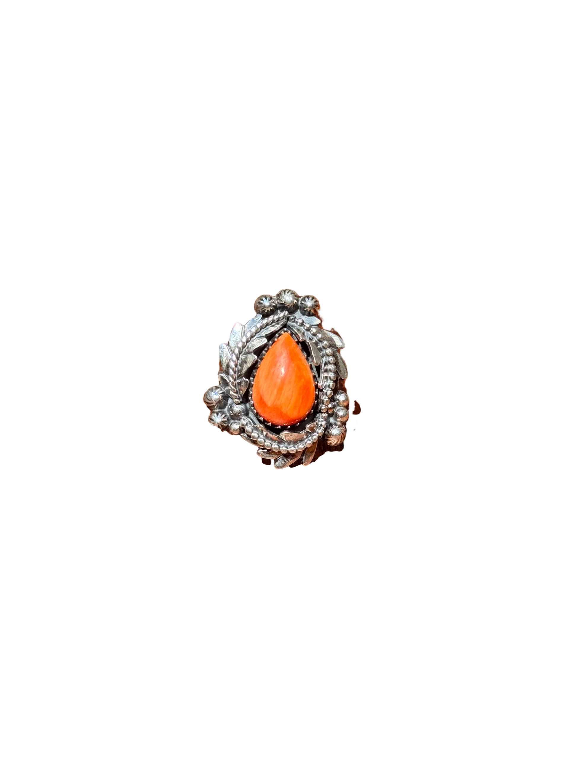 auto_whitebg:main_image_id=35326254153789