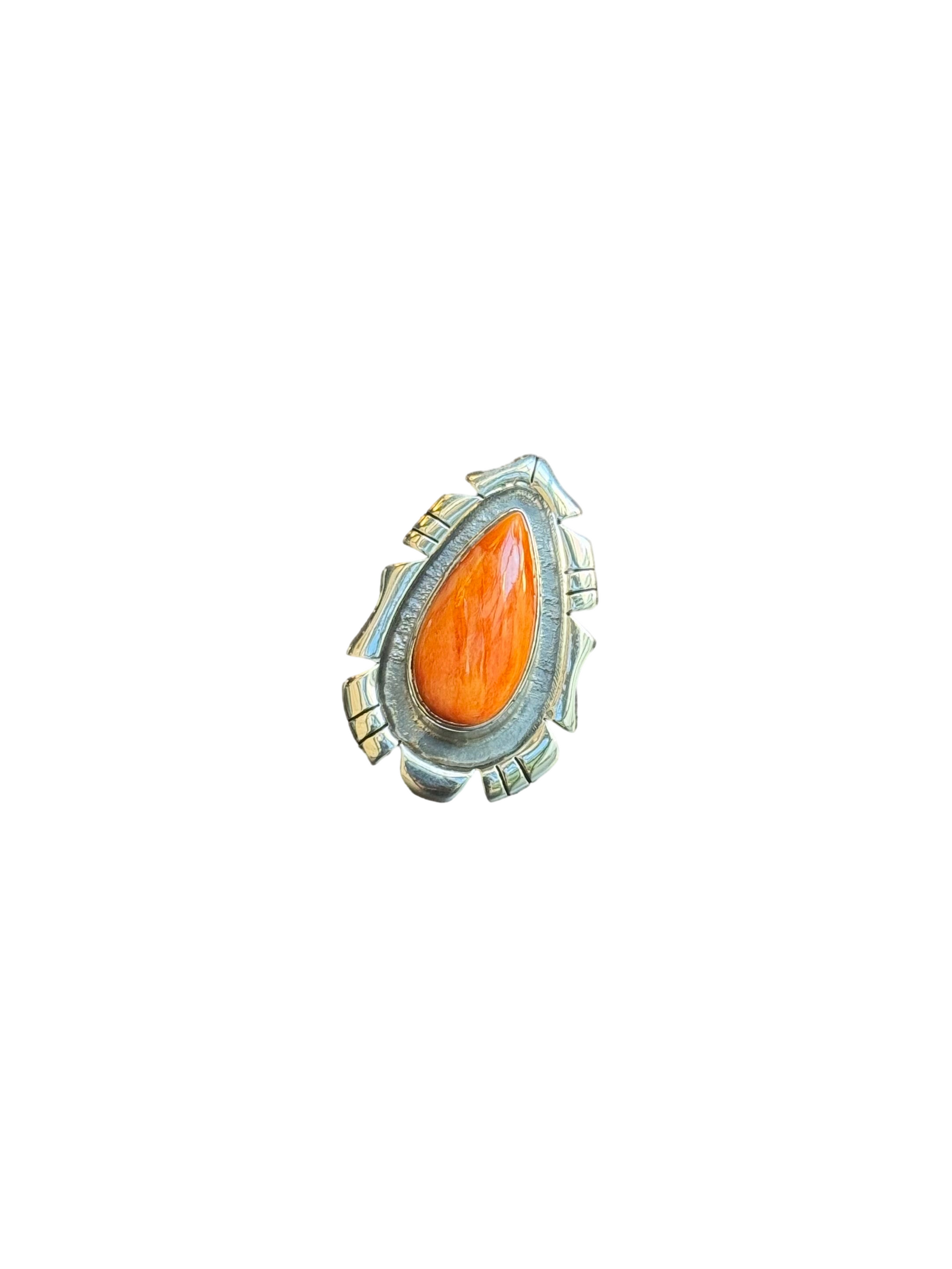 auto_whitebg:main_image_id=35361953087549