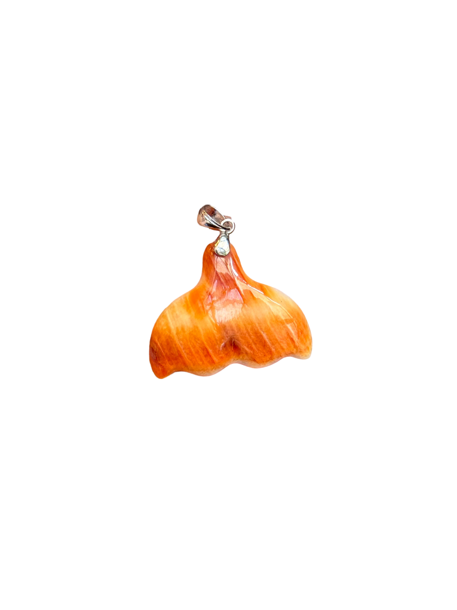 auto_whitebg:main_image_id=35425387642941