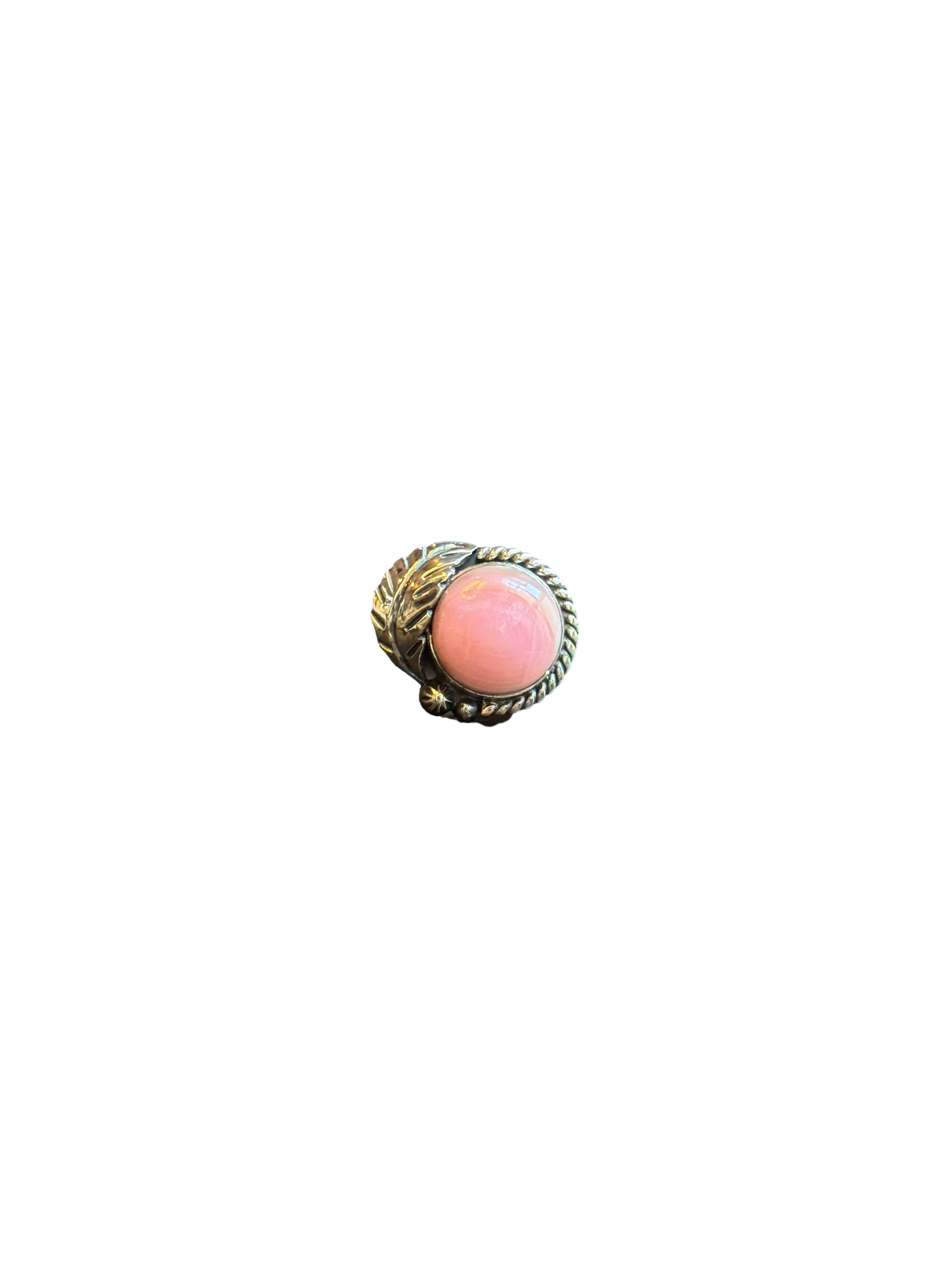 Auto-generated white background version of main image