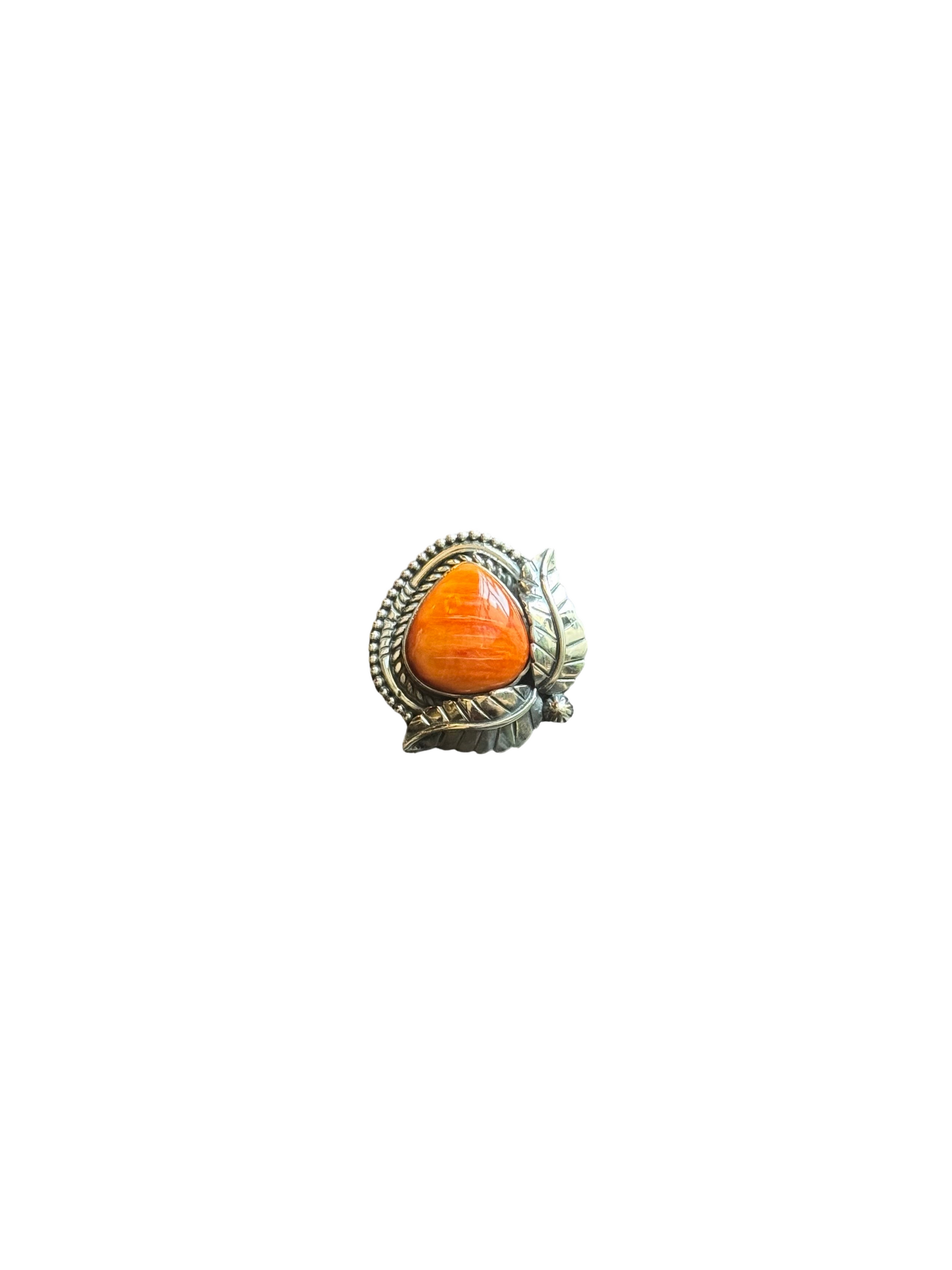 auto_whitebg:main_image_id=35480707465277