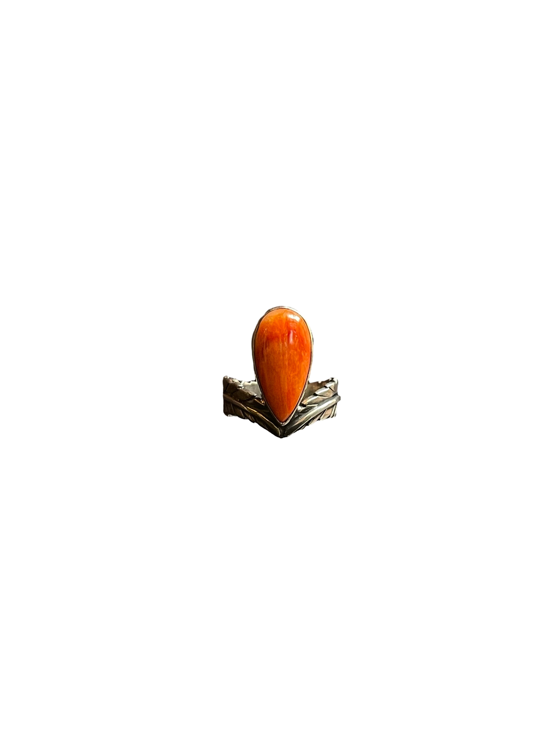 auto_whitebg:main_image_id=35832660623421