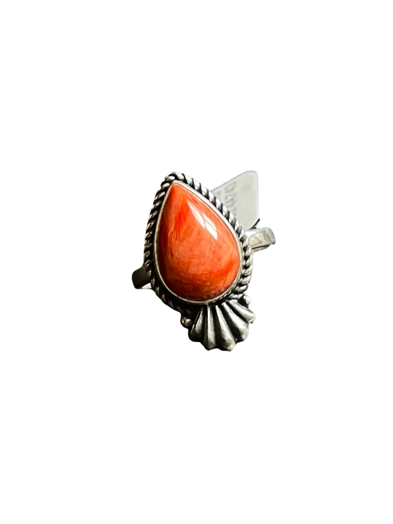 auto_whitebg:main_image_id=35922400084029
